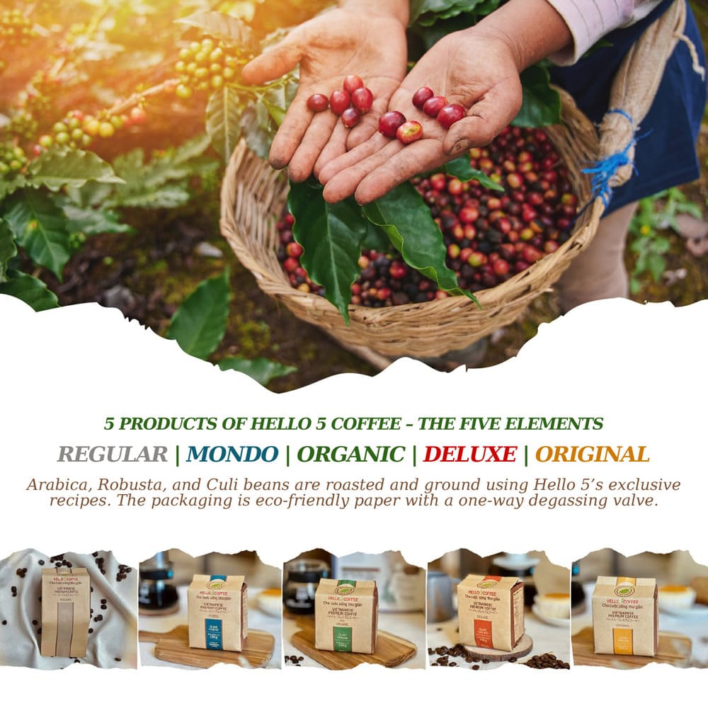 5 element coffee