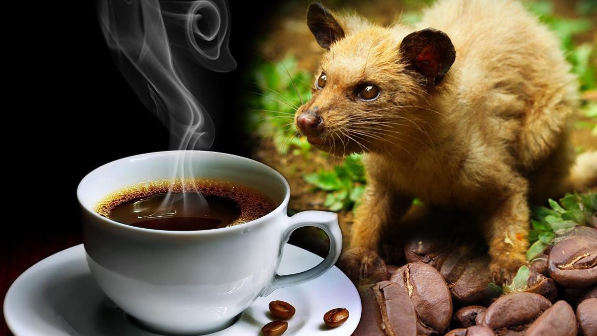 Vietnamese weasel coffee has an incomparable delicious flavor.
