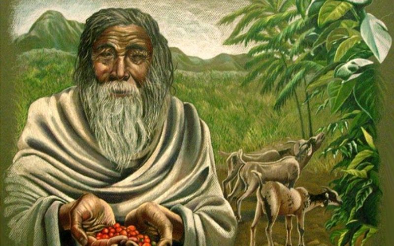 Arabica and Robusta coffee beans originated from Africa highlands