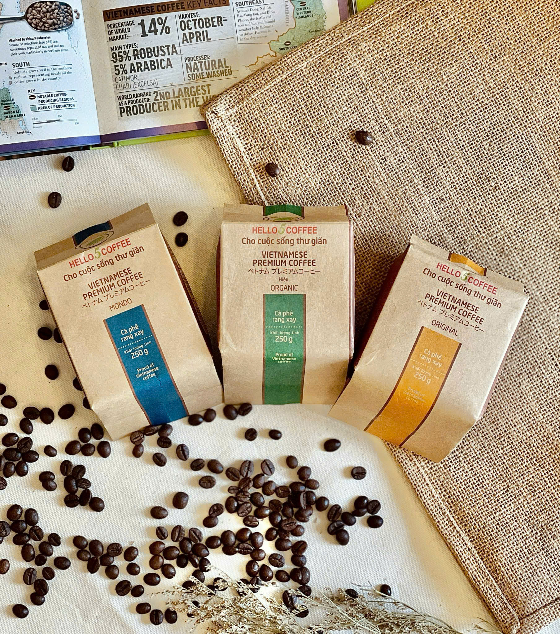 hello 5 coffee global