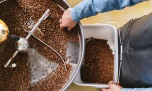 Best Coffee Roasters in Vietnam