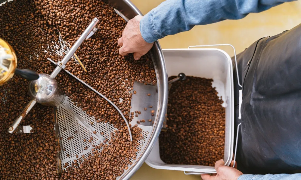Best Coffee Roasters in Vietnam