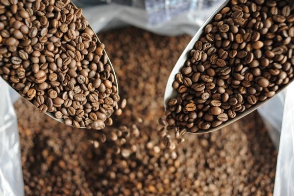 Best coffee blend ratio