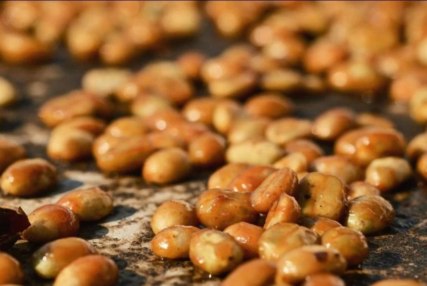 Development history of the Honey coffee processing method