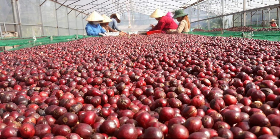 Dry processing