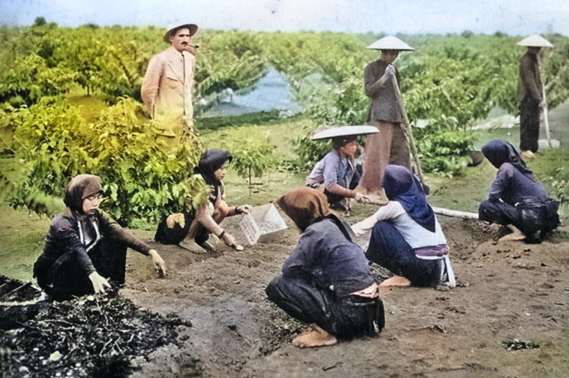 History of Vietnamese coffee