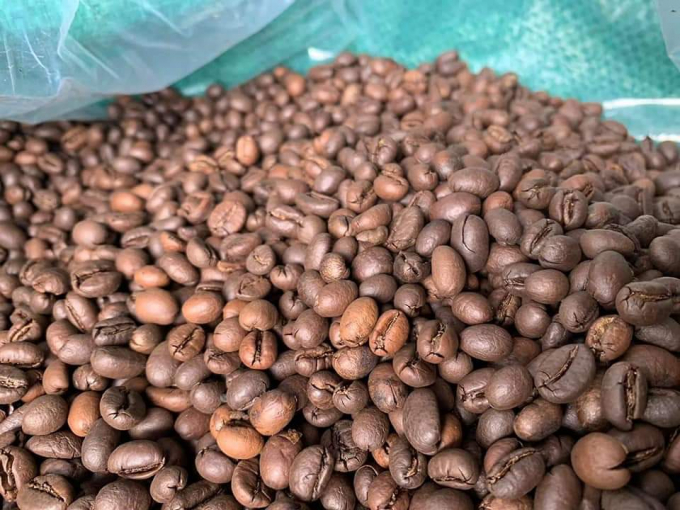 Price of Culi coffee in Vietnam