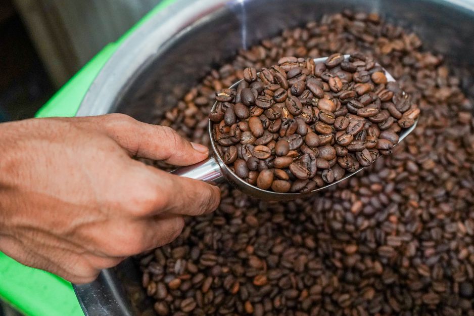 arabica coffee