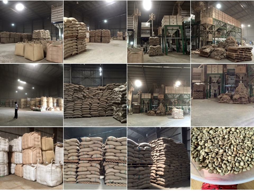 hello 5 coffee factory