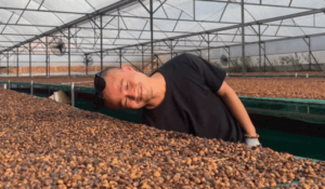 leanhvinh