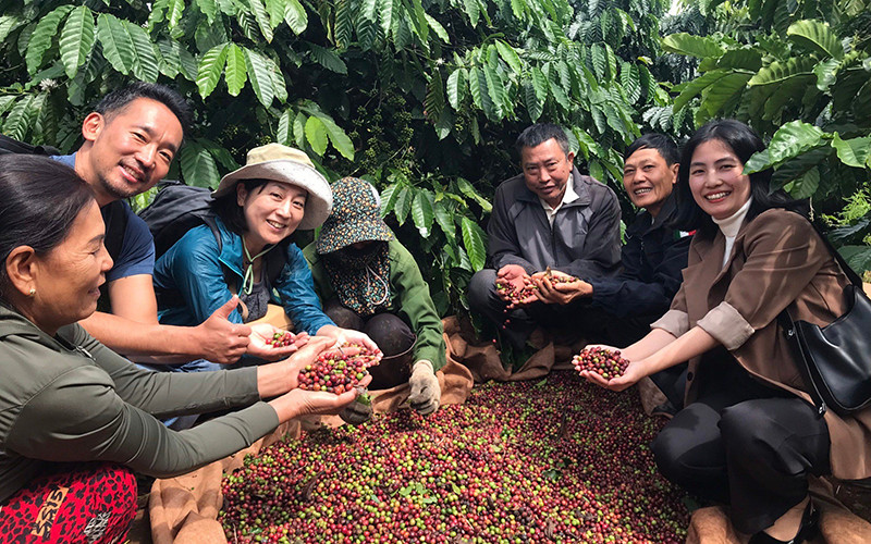 vietnam coffee bean price 