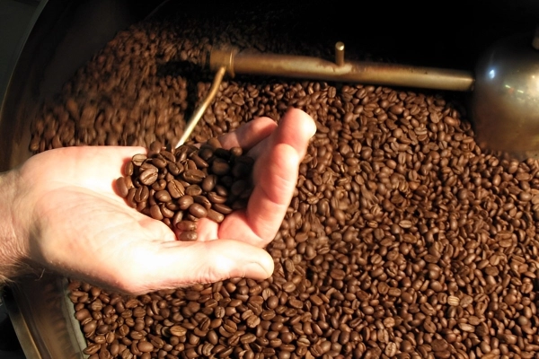 vietnam coffee roastery