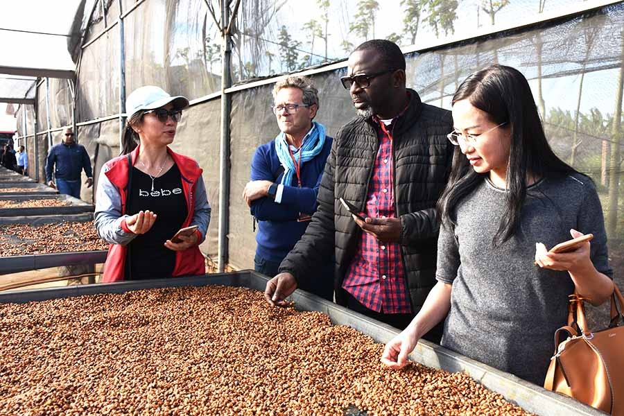 vietnamese coffee export