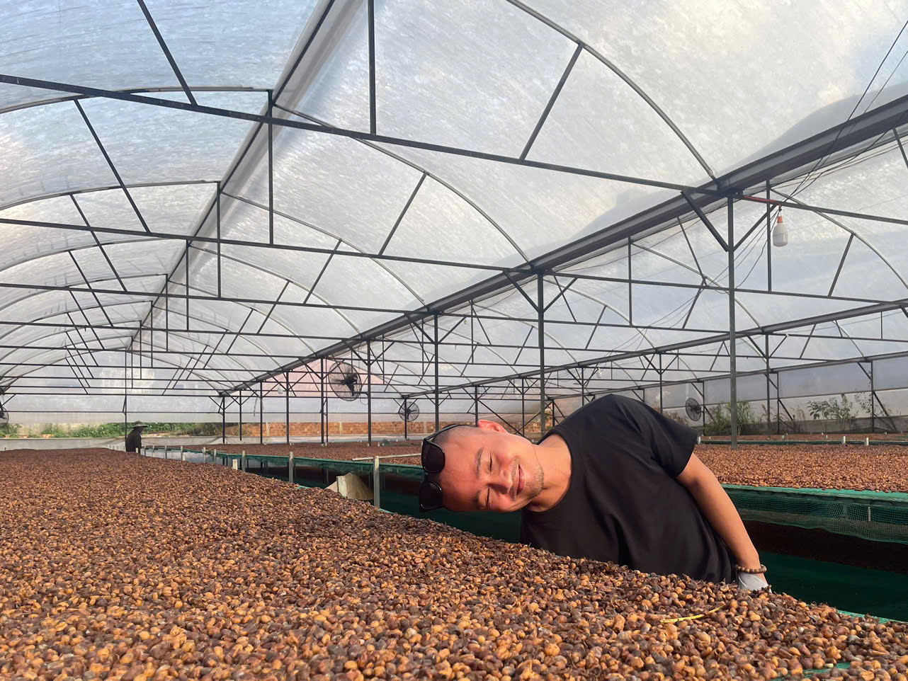 Processing and manufacturing of natural, unblended coffee.