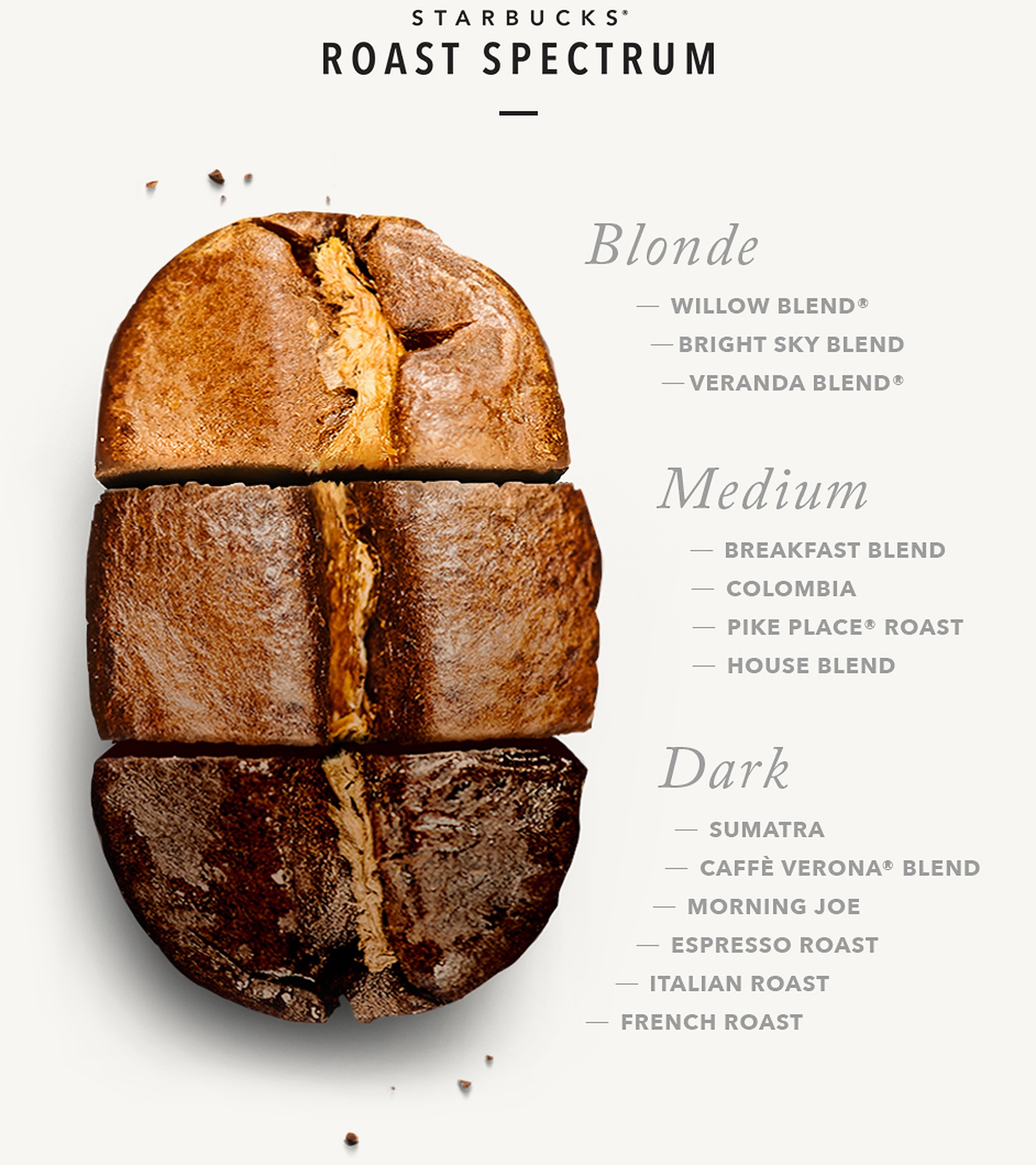 Coffee Roasting Levels