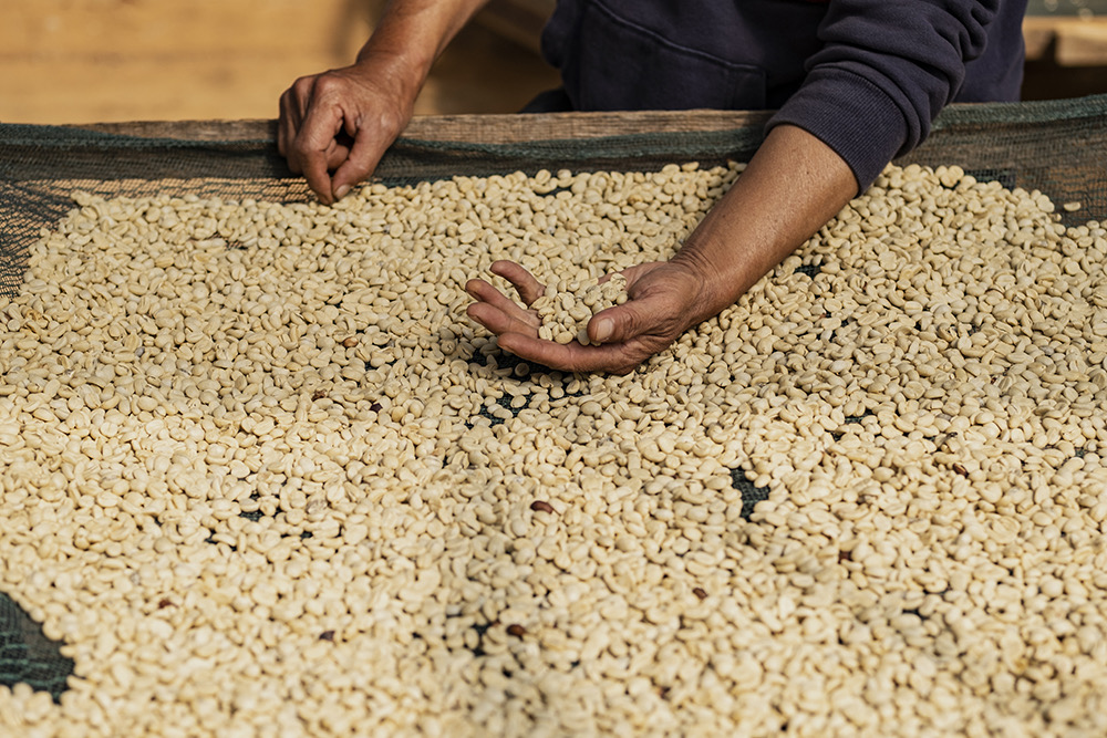 Specialty Coffee