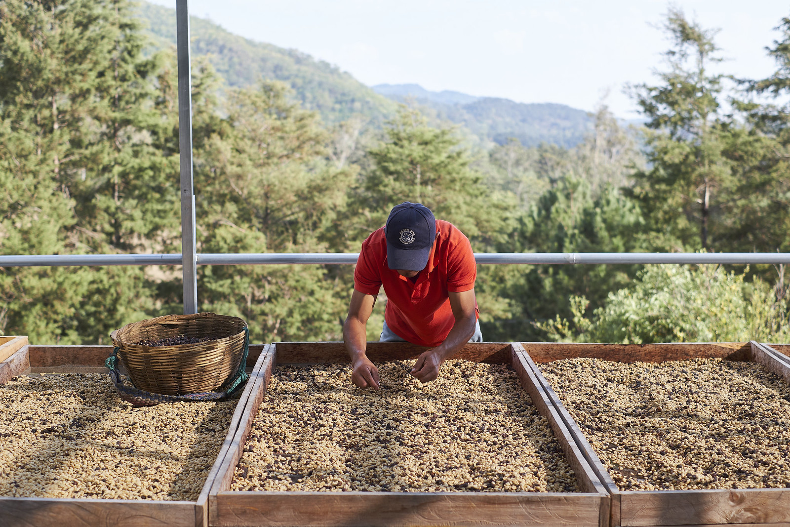 Specialty Coffee