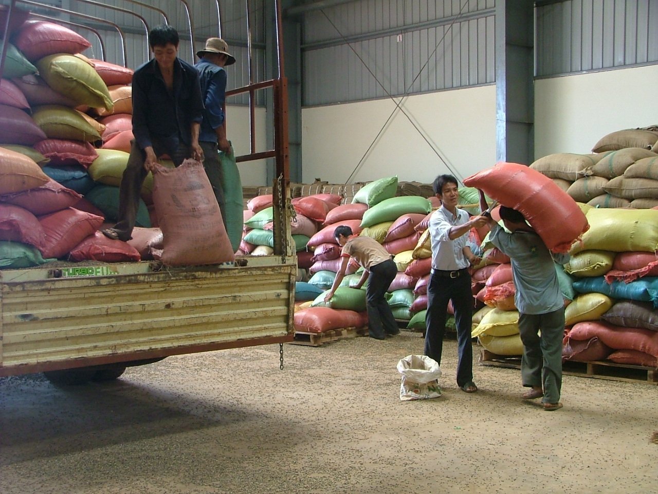 Vietnamese Coffee Export Companies 1