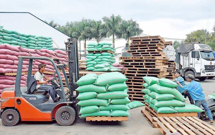 Vietnamese Coffee Export Companies