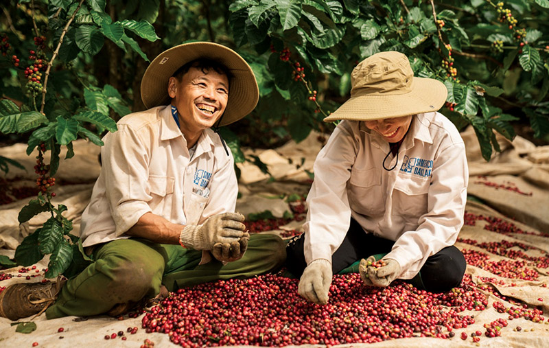 Vietnamese coffee manufacturer 1