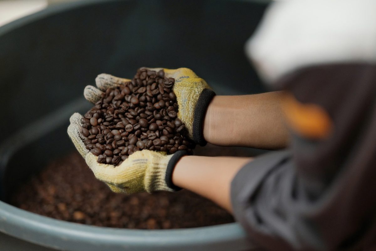 What is Fine Robusta 