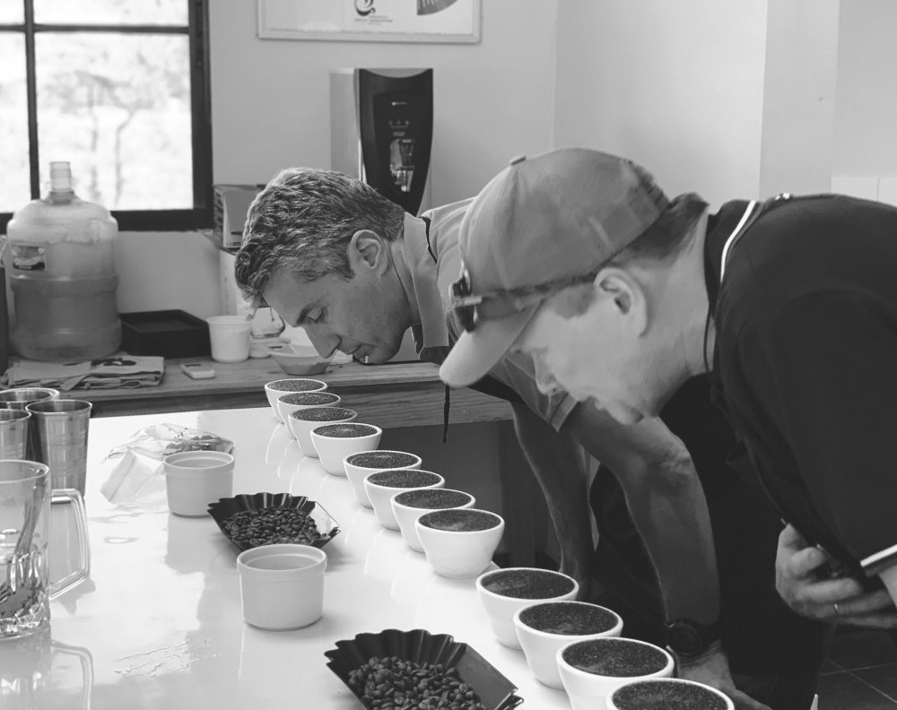 What is Fine Robusta 