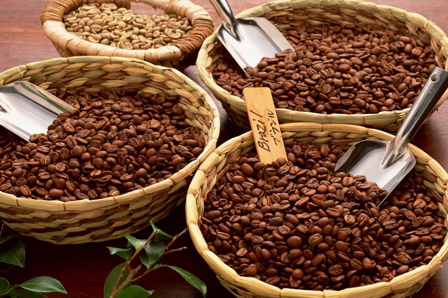 Why Vietnam Is Becoming a Leading Coffee Export Hub