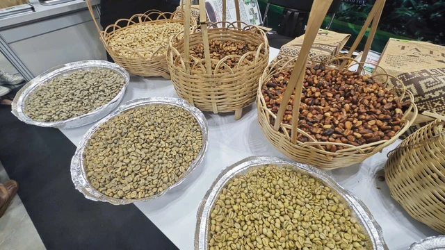 Why Vietnam Is Becoming a Leading Coffee Export Hub
