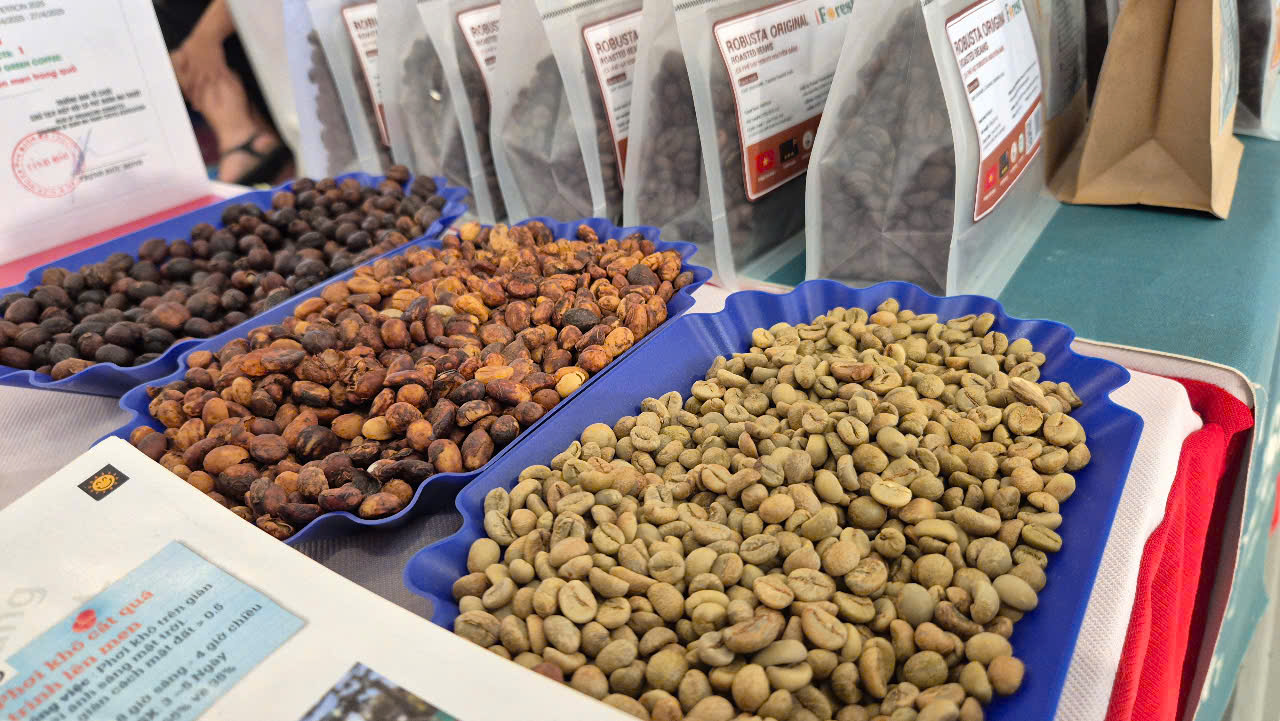 Why Vietnam Is Becoming a Leading Coffee Export Hub