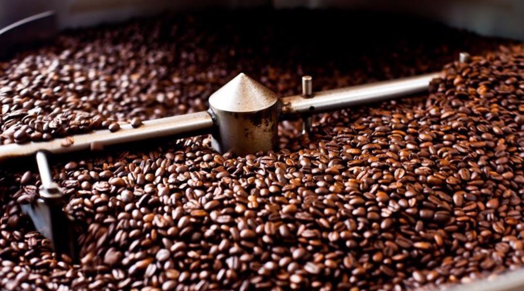 Why Vietnam Is Becoming a Leading Coffee Export Hub