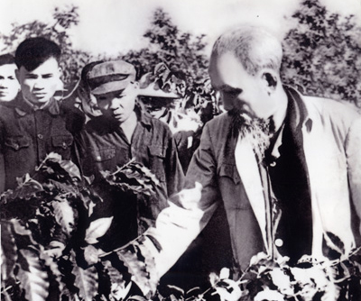 Uncle Ho visited the coffee farm in Dong Hieu - Nghe An December 10, 1961