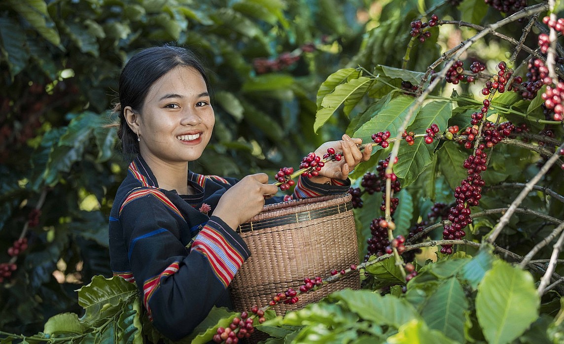 buying coffee from Vietnam