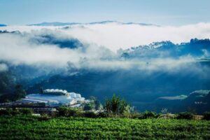cau dat da lat