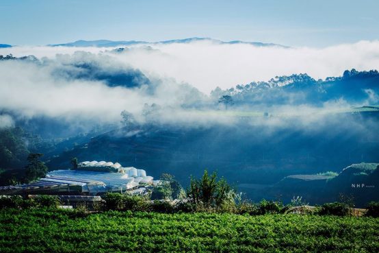 cau dat da lat
