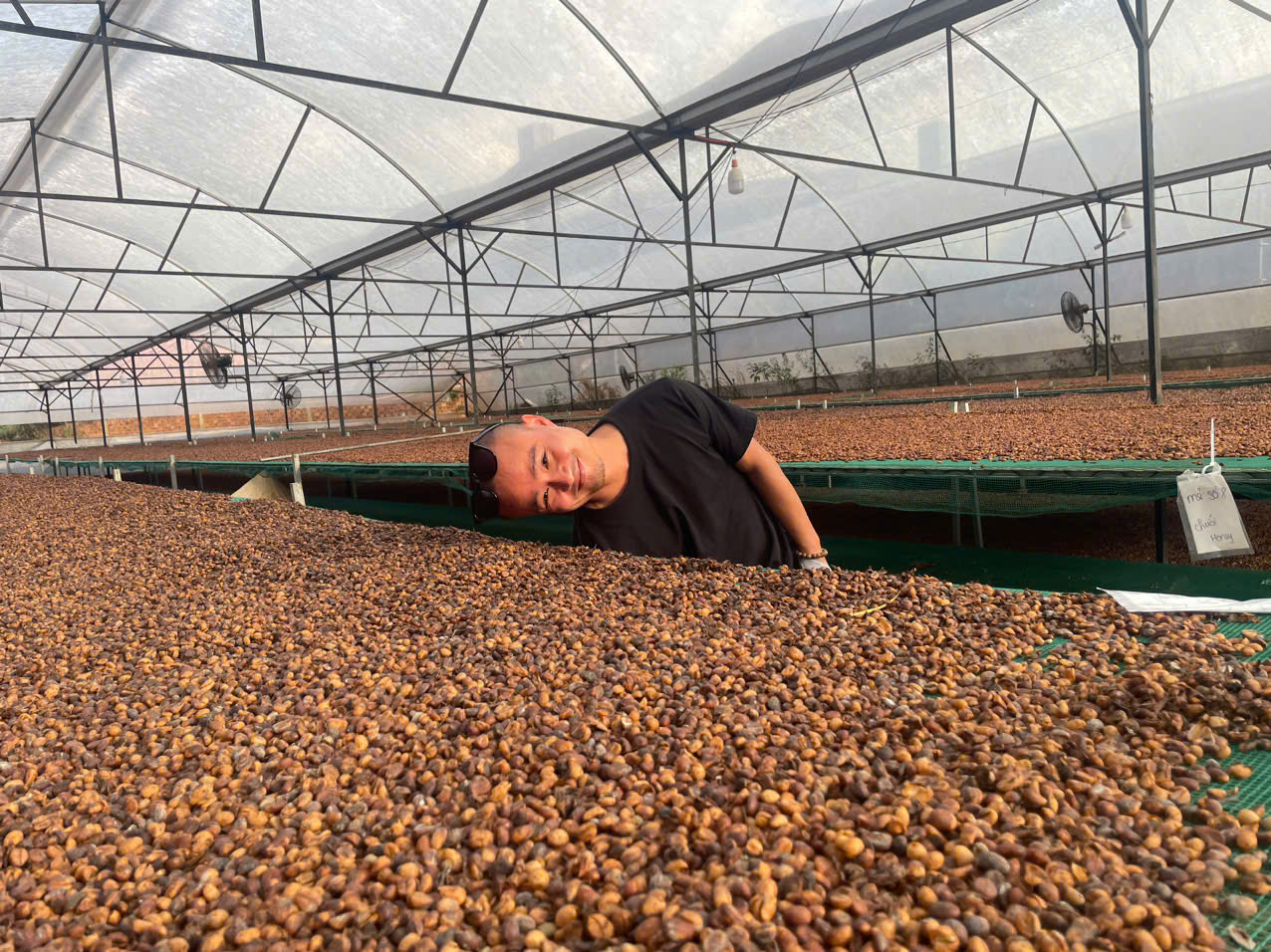 hello 5 coffee exporter