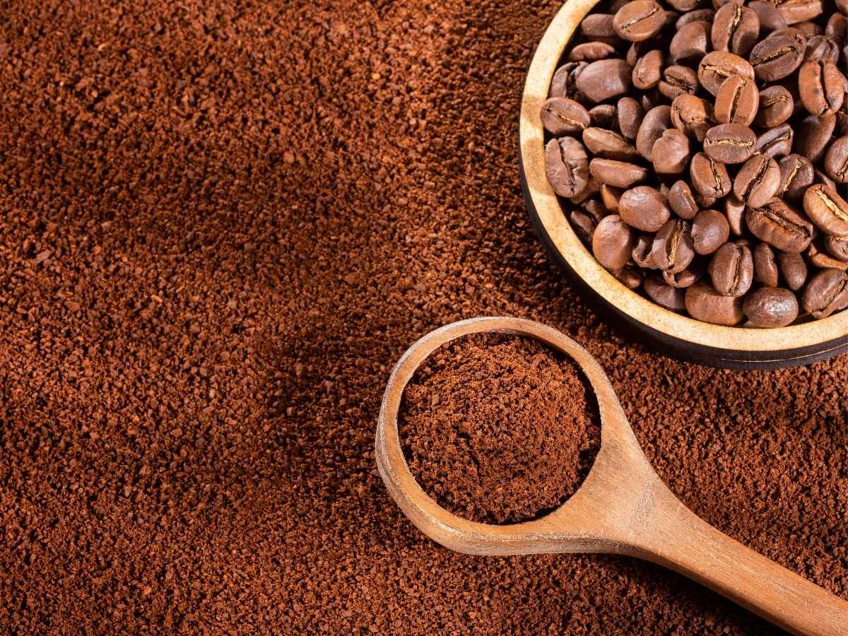 pure coffee powder