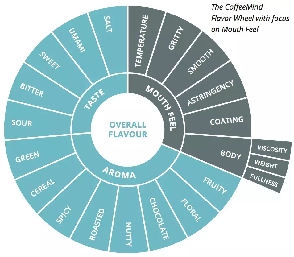 The CoffeeMind Flavor Wheel with focus on Mouth Feel