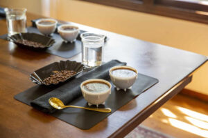 what is cupping