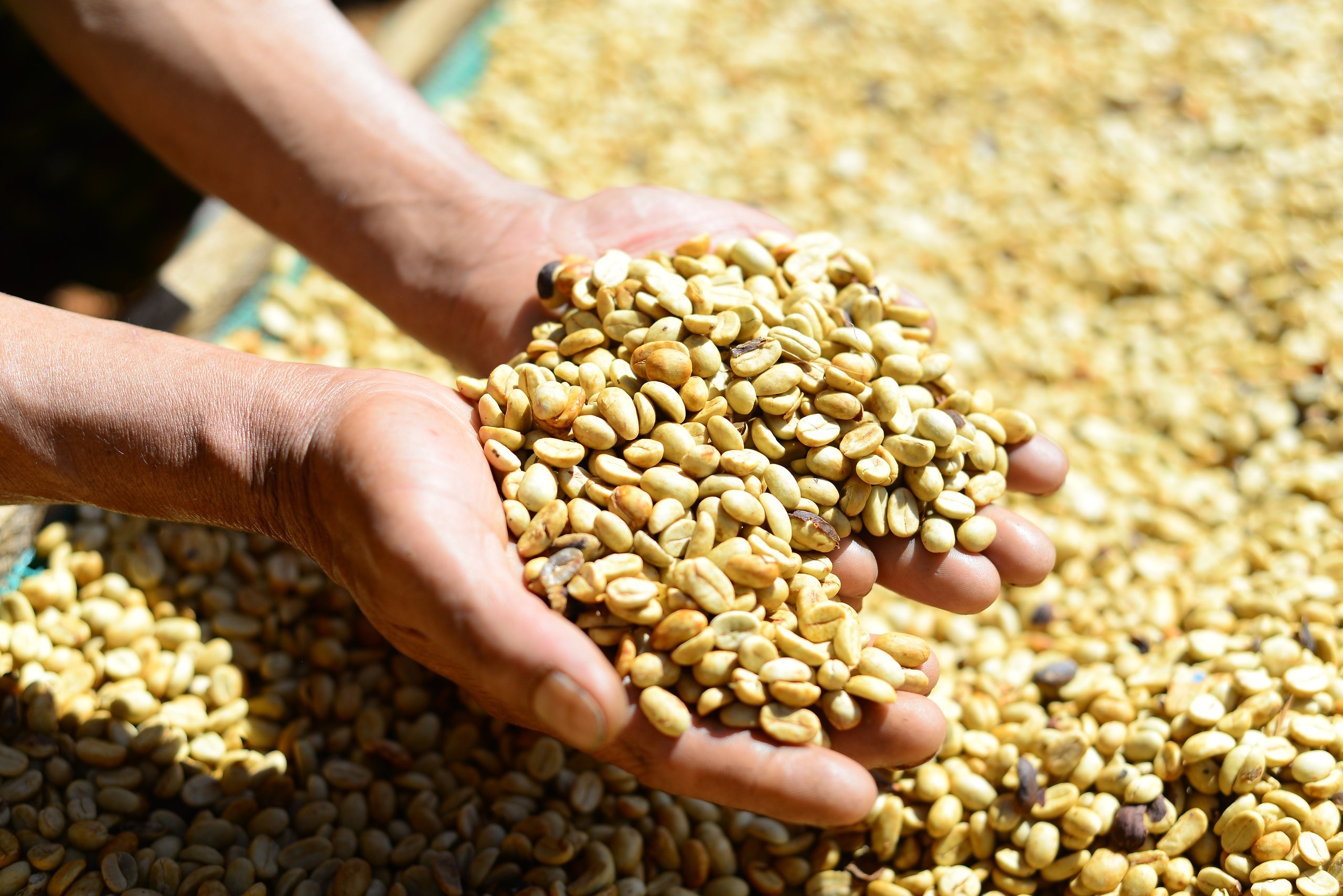 where to buy vietnam coffee