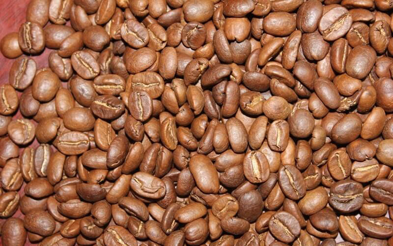 Catimor coffee beans