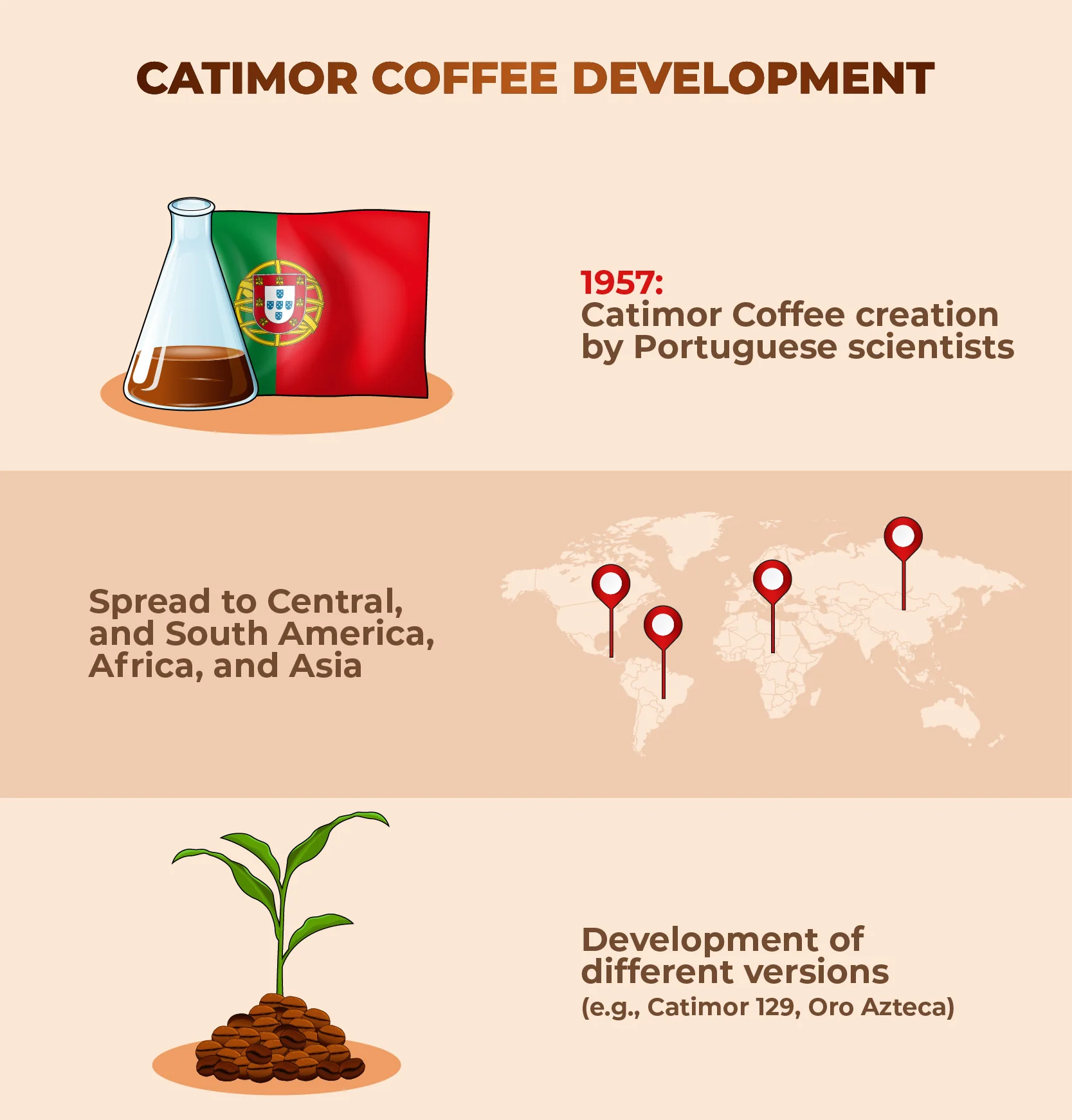 Catimor_Coffee_Development