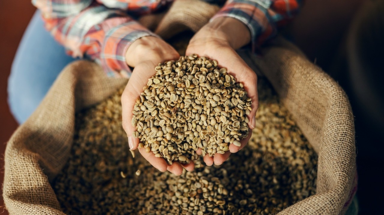 Commodity coffee