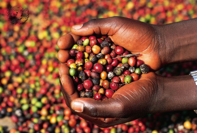 Low-grade coffee