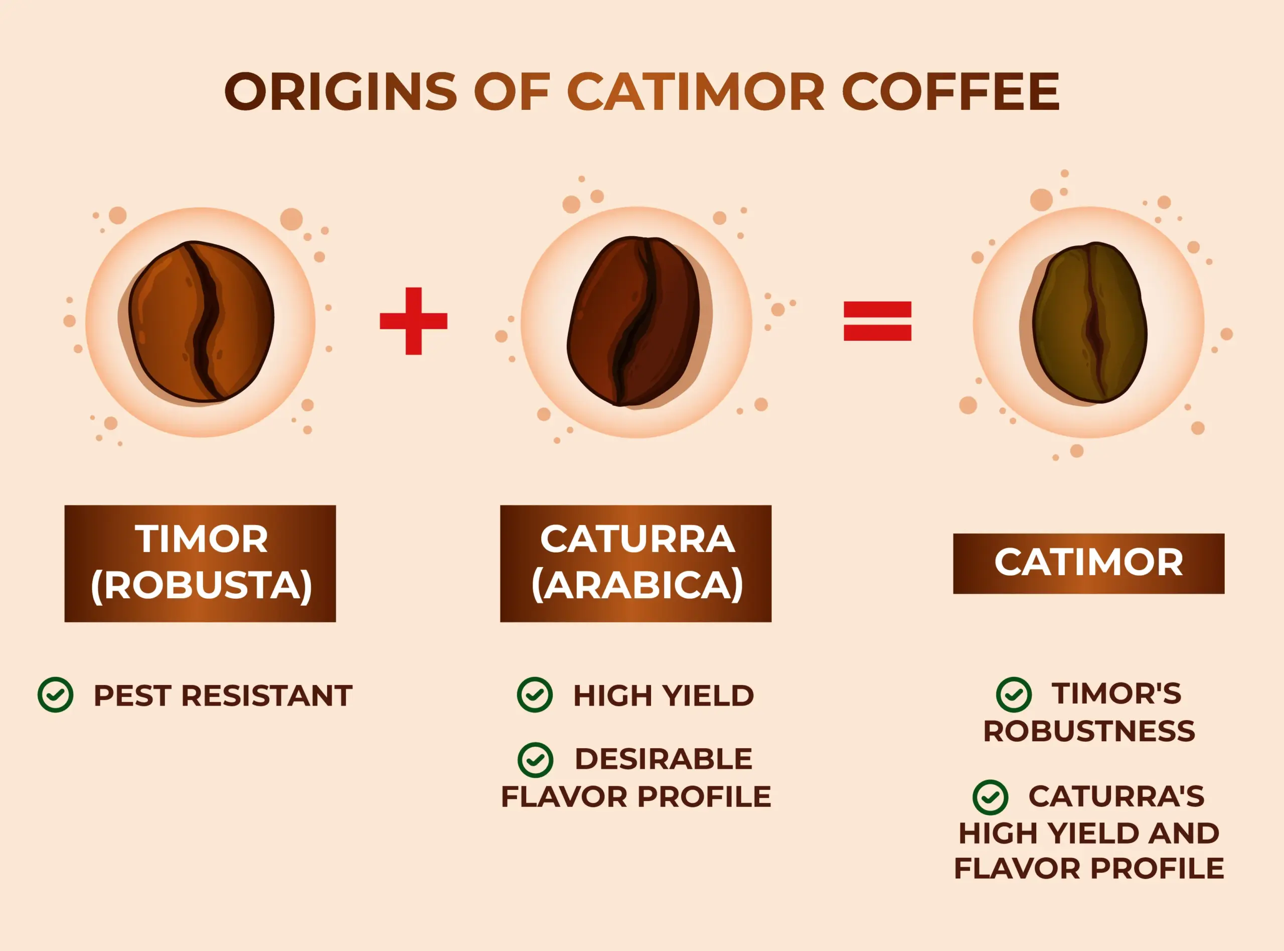 Origins_of_Catimor_Coffee