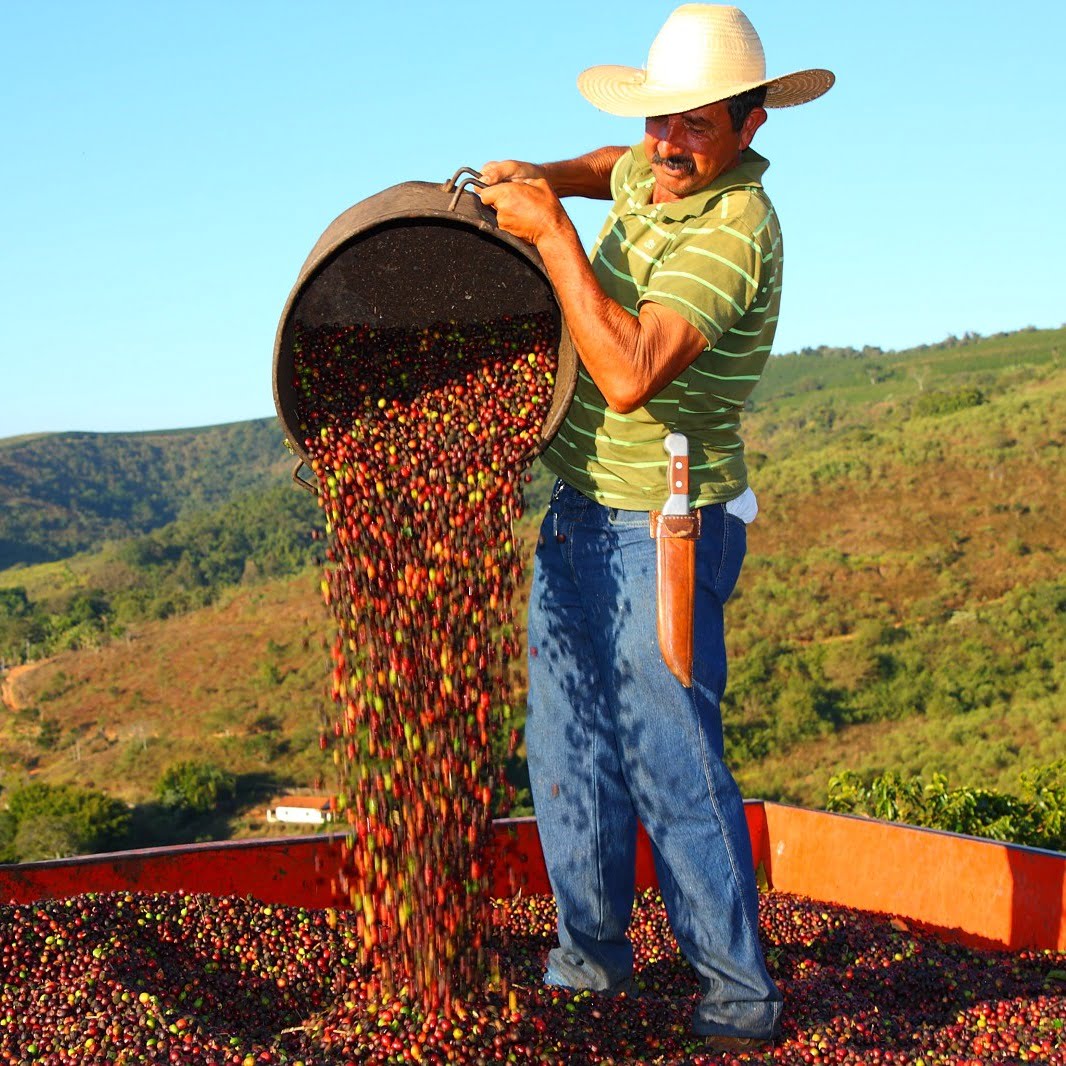 Brazil is the largest Bourbon-growing country.