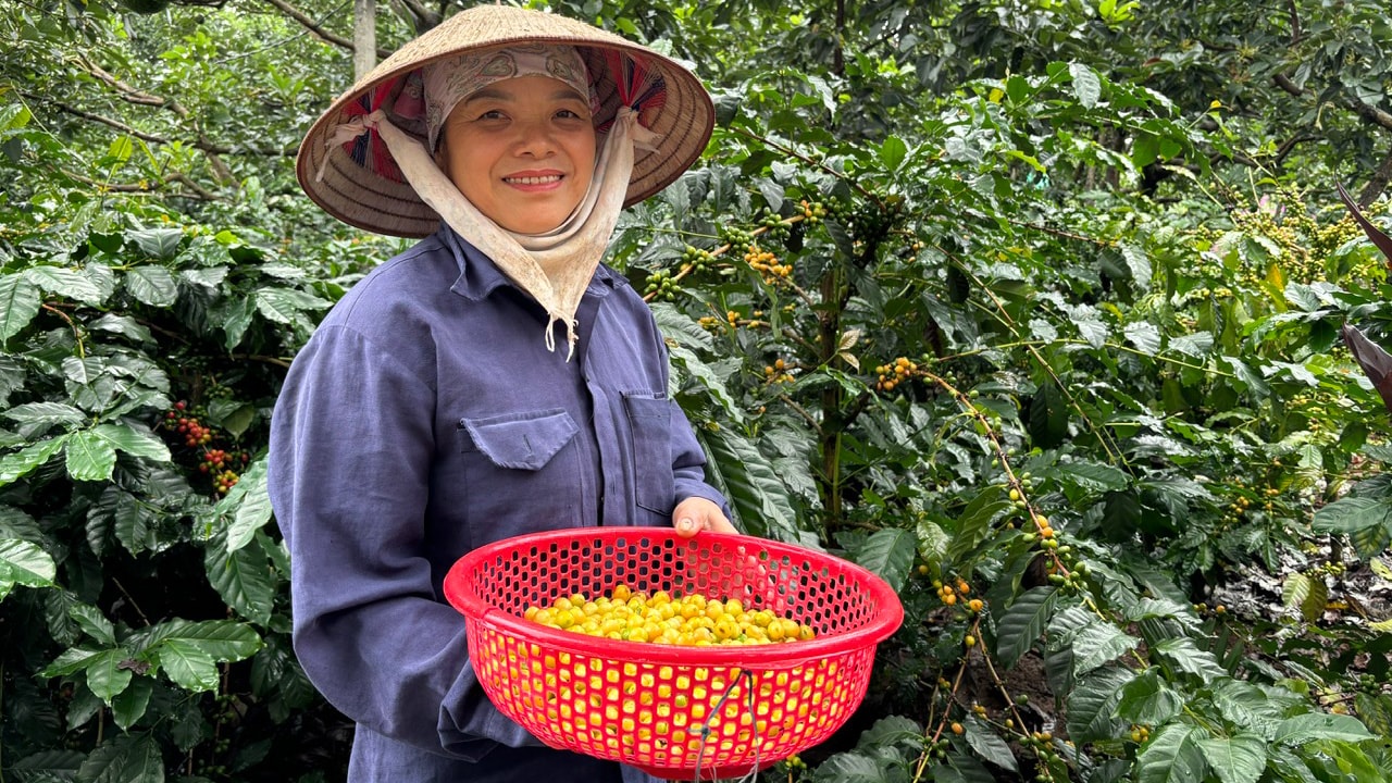 bourbon-coffee-vietnam