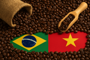 Vietnam vs Brazil Coffee