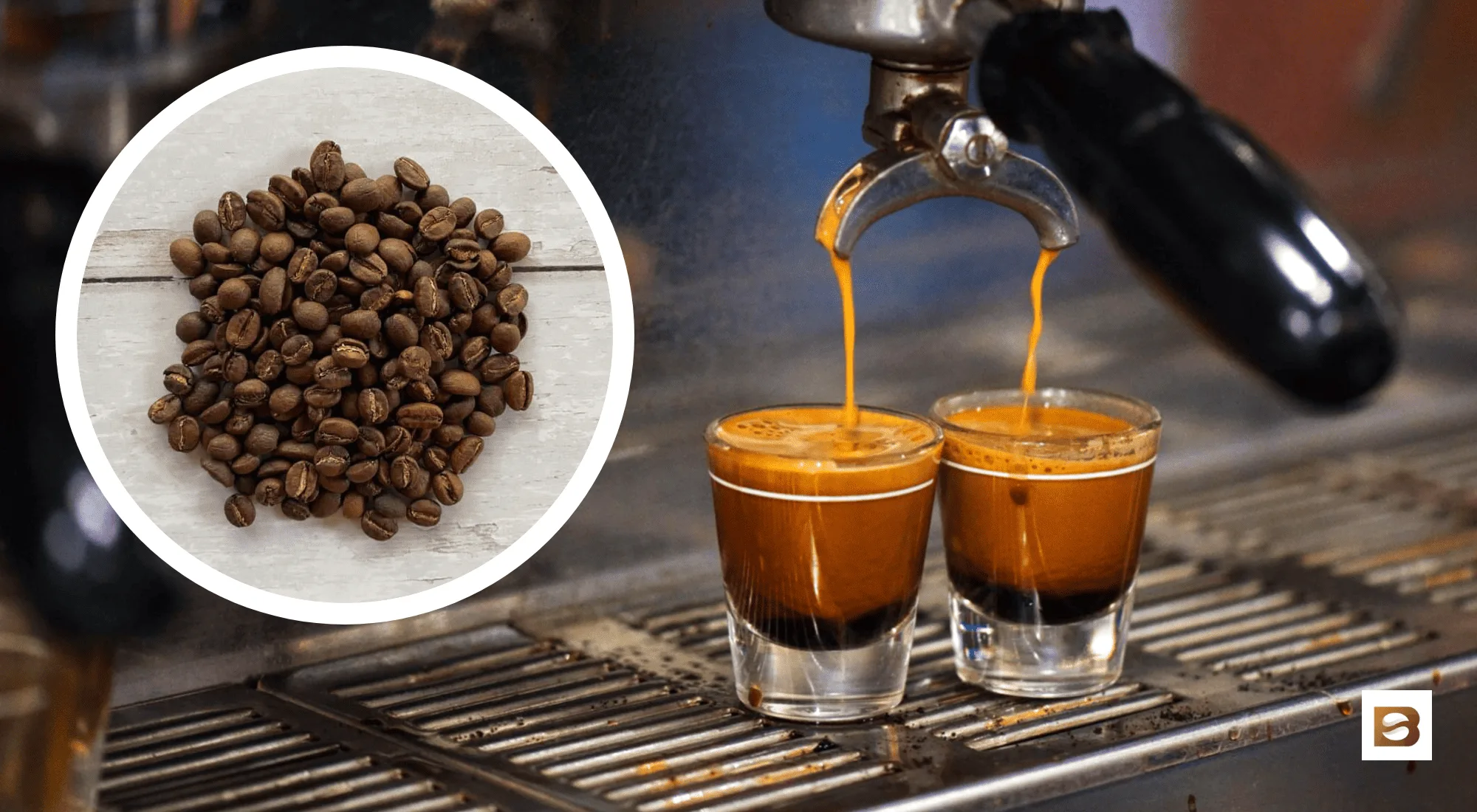 Which Coffee Beans Are Best for Espresso