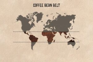 What is the coffee bean belt