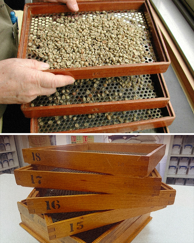 Coffee Bean Size Classification